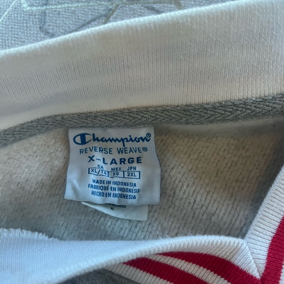 Vintage crop champion reverse weave SET - Picture 3 of 4